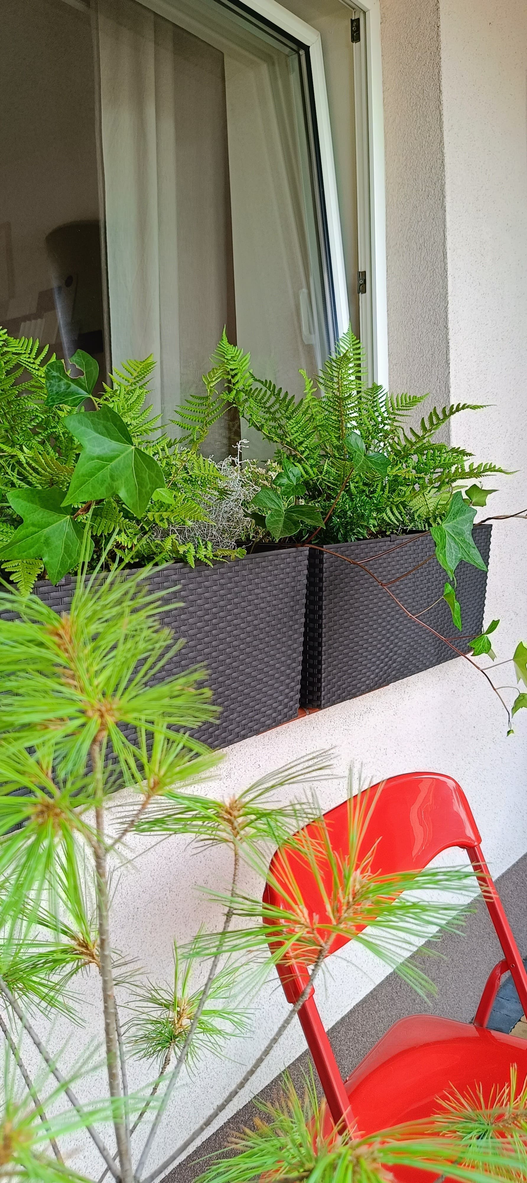 Nie mogło zabraknąć roślin na zewnątrz i krzesła do rozmów przez telefon na świeżym powietrzu.