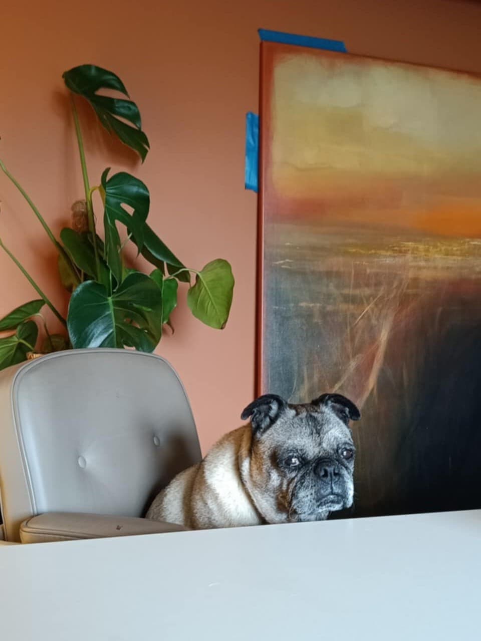 Poznajcie Bukę - moją tymczasową kontrolerkę jakości. Pilnowała, żeby każdy detal był dopięty na ostatni guzik.